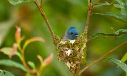 Featured image of post 旅行