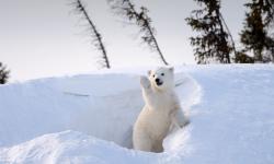 Featured image of post 水文