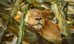 Featured image of post 观点探讨