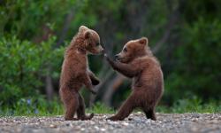 Featured image of post 专栏：隐私泄露与保护