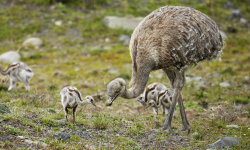 Featured image of post NAS