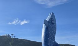 Featured image of post 杂记：放下枷锁，取悦自己（珠海长隆休闲游）